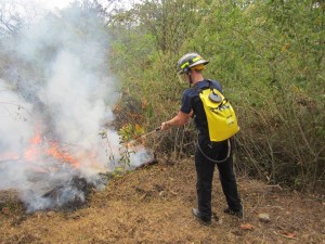 Panama - Taking in what Panama has to offer 4